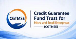 Credit Guarantee Fund Trust for Micro and Small Enterprises (CGTMSE)